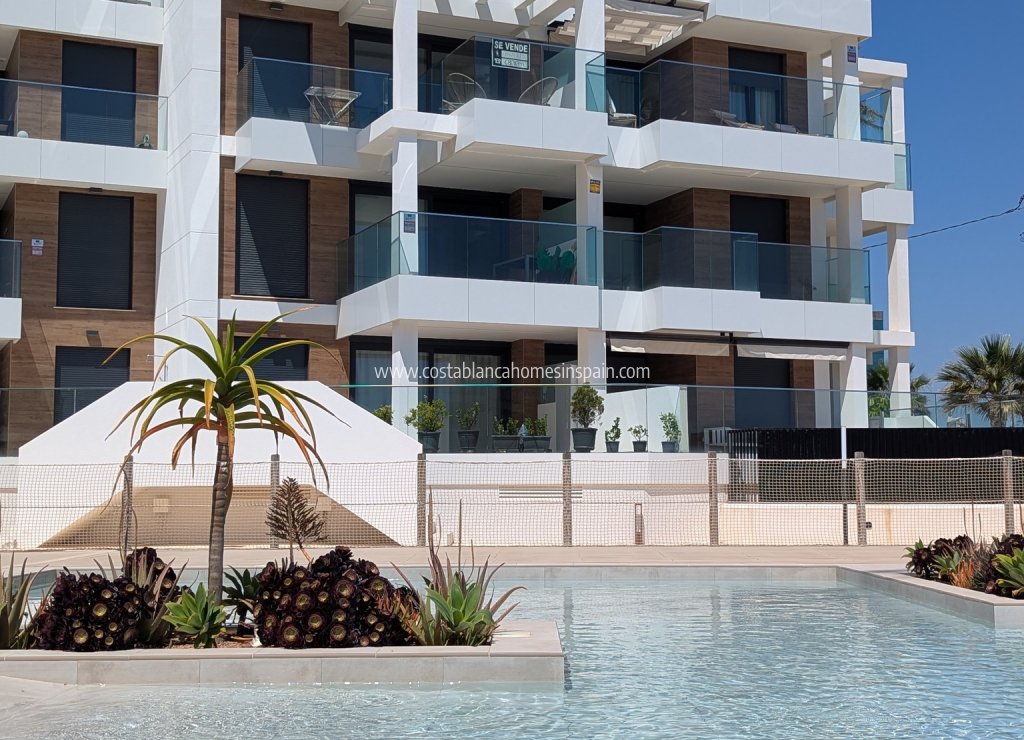 Nouvelle construction - Apartment - Denia
