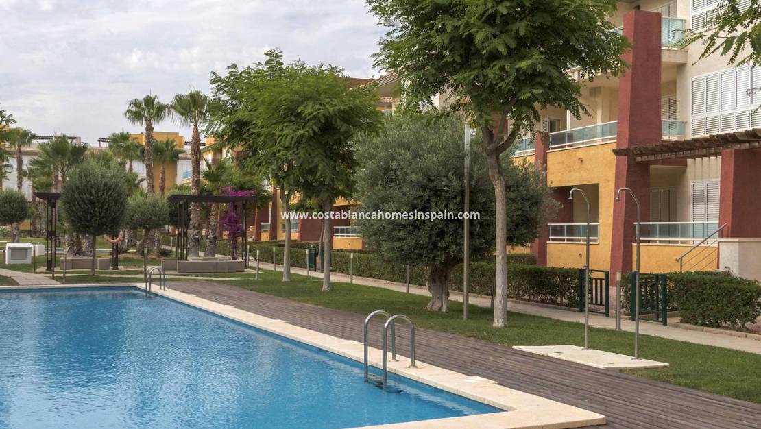 Nouvelle construction - Apartment - Fuente alamo de Murcia - Hacienda del Álamo Golf