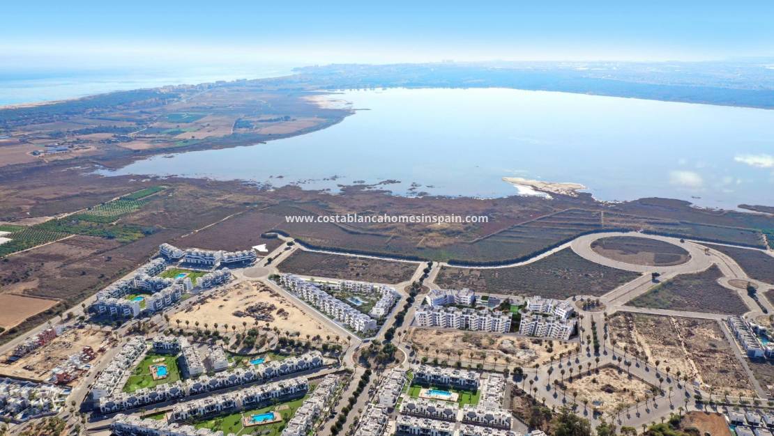 Nouvelle construction - Apartment - Guardamar del Segura - El Raso