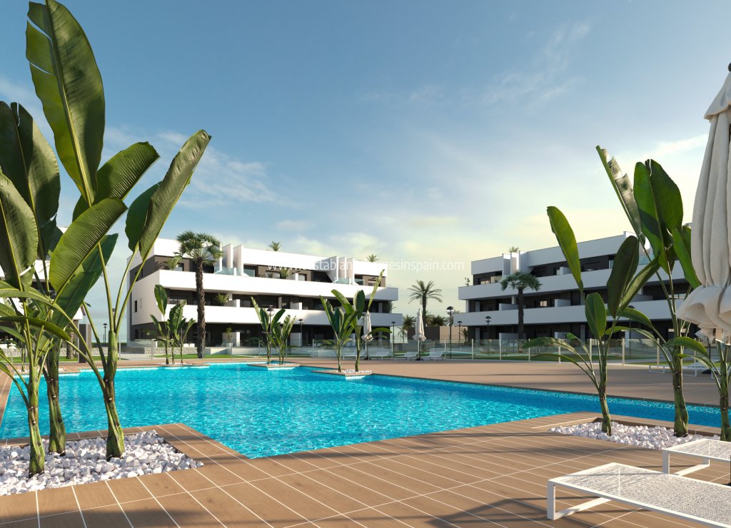 Nouvelle construction - Apartment - Guardamar del Segura