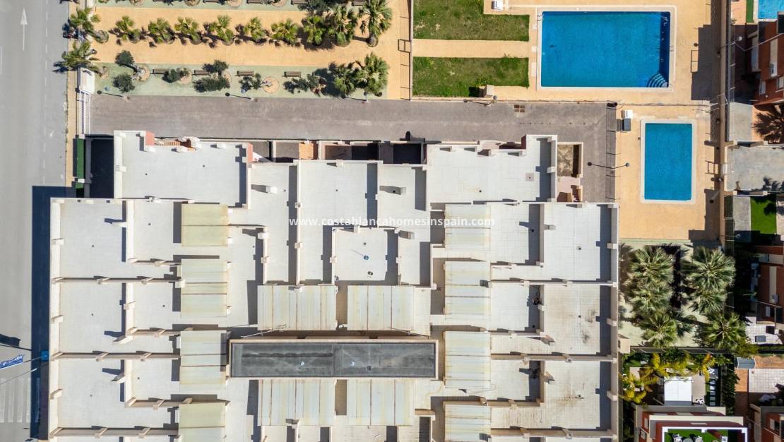 Nouvelle construction - Apartment - Lomas de Cabo Roig