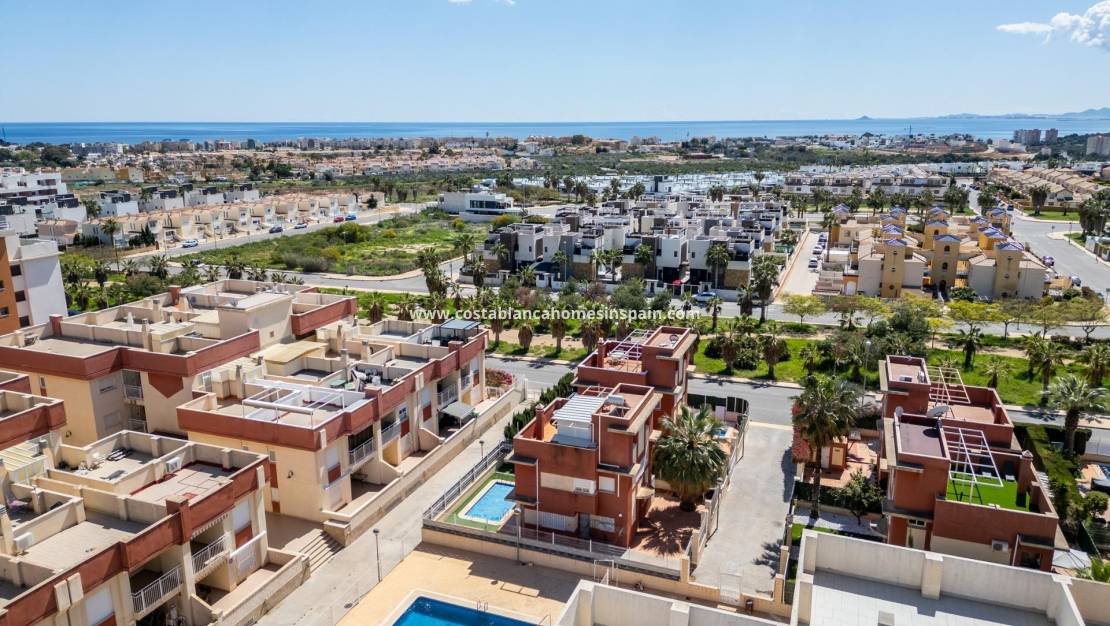 Nouvelle construction - Apartment - Lomas de Cabo Roig