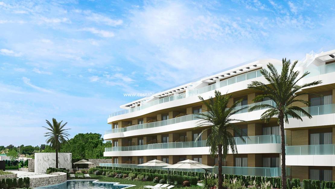 Nouvelle construction - Apartment - Orihuela Costa - Playa Flamenca