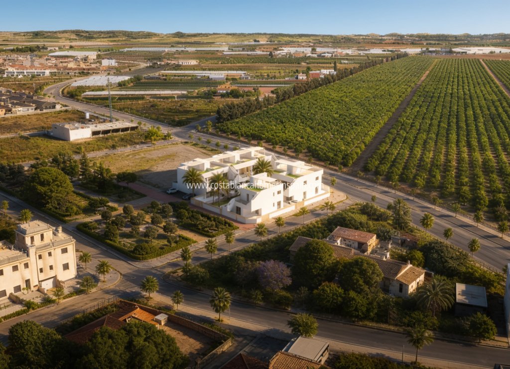 Nouvelle construction - Apartment - Pilar de La Horadada - Pilar de la Horadada