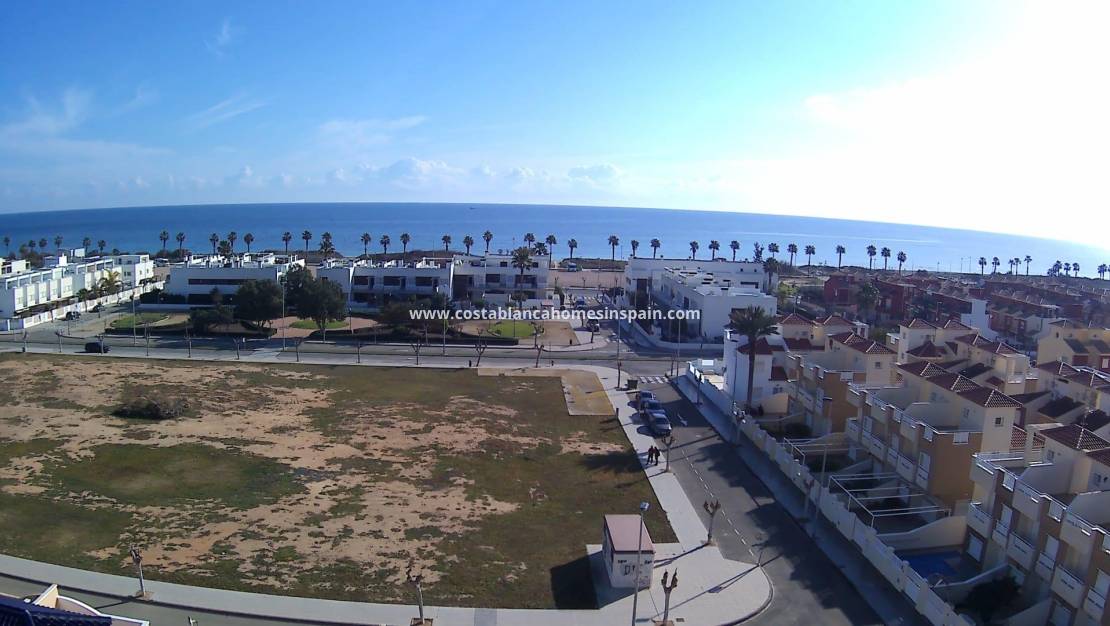 Nouvelle construction - Apartment - Pilar de la Horadada - Playa de las Higuericas