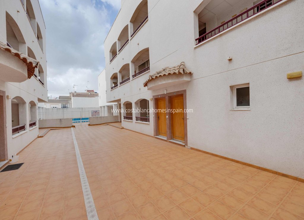 Nouvelle construction - Apartment - San Fulgencio