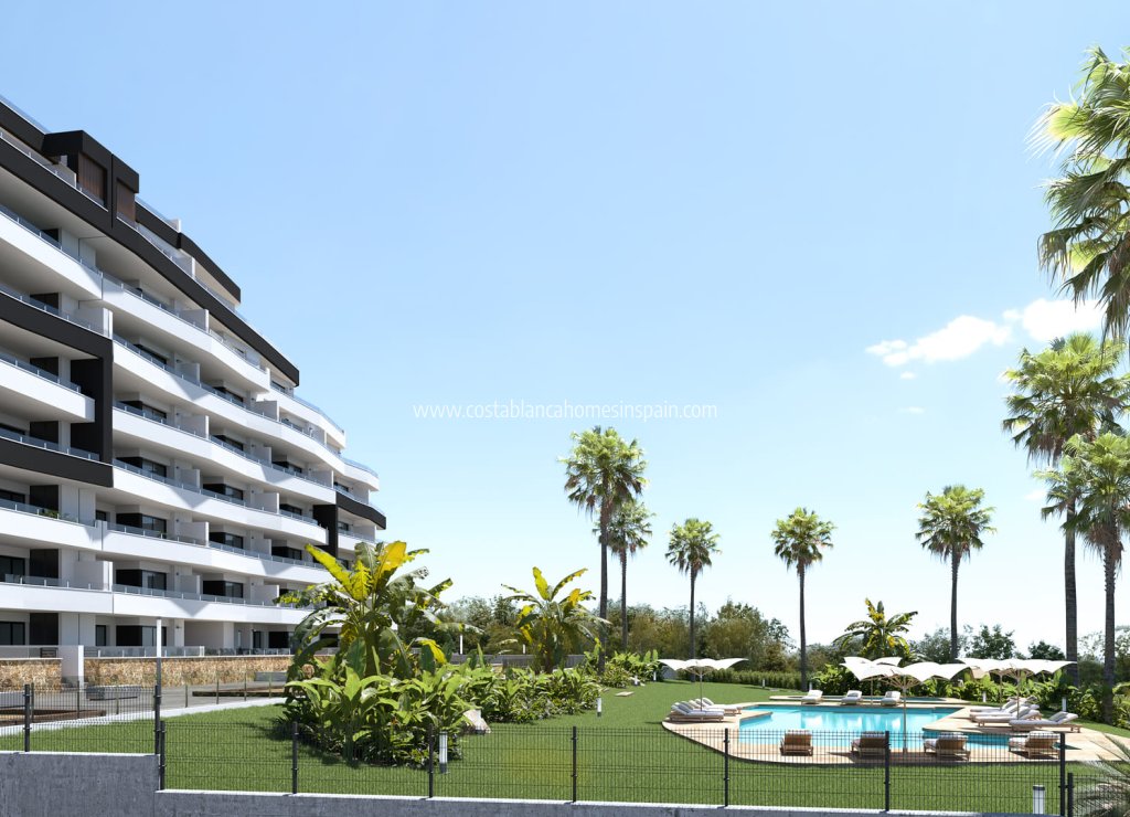 Nouvelle construction - Apartment - San Miguel de Salinas