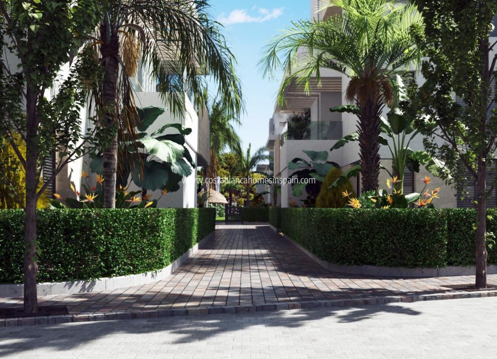 Nouvelle construction - Apartment - Santa Rosalia