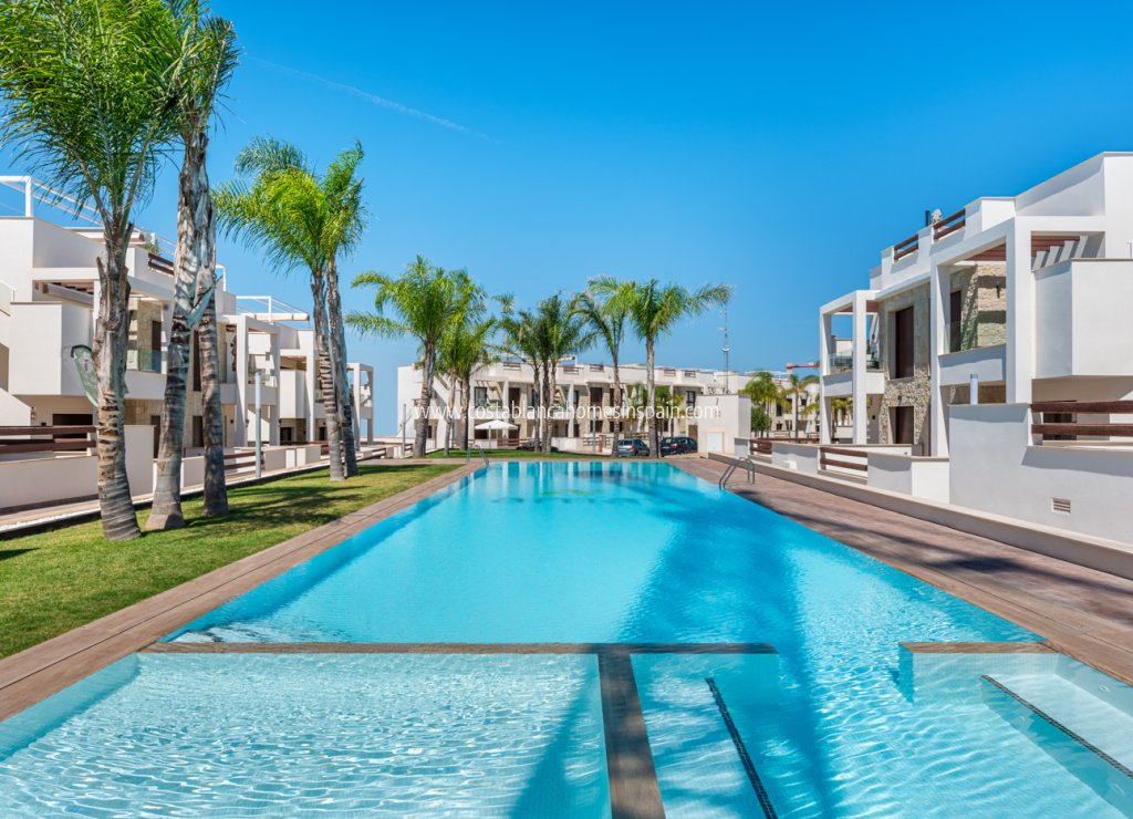 Nouvelle construction - Apartment - Torrevieja