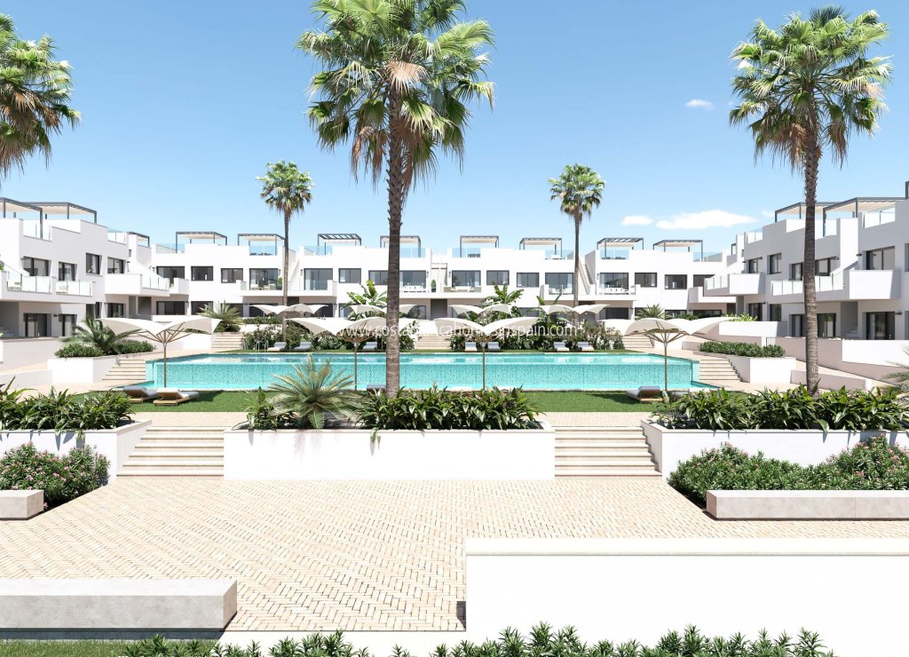 Nouvelle construction - Apartment - Torrevieja