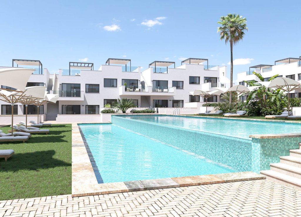 Nouvelle construction - Apartment - Torrevieja