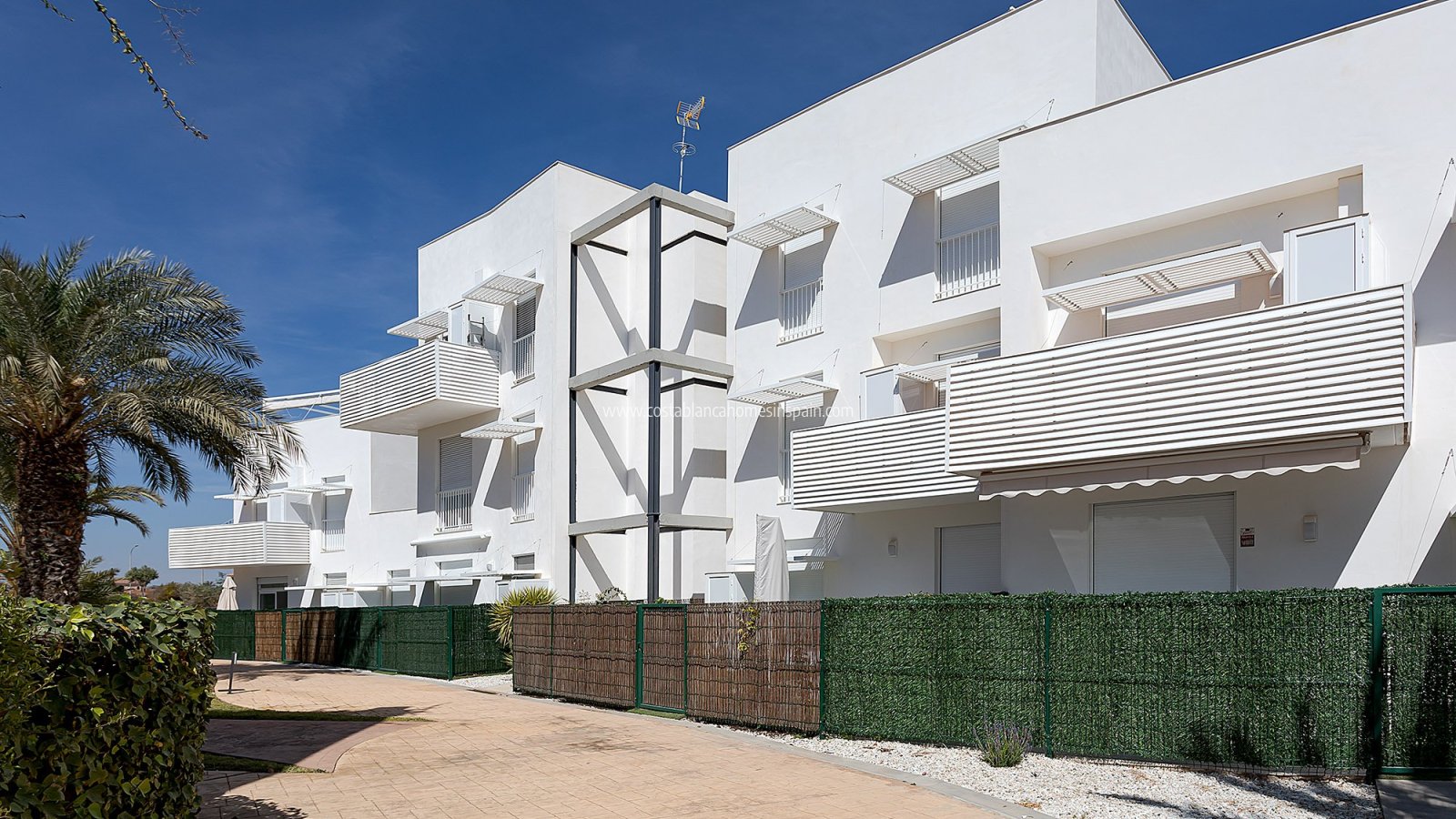 Nouvelle construction - Apartment - Vera