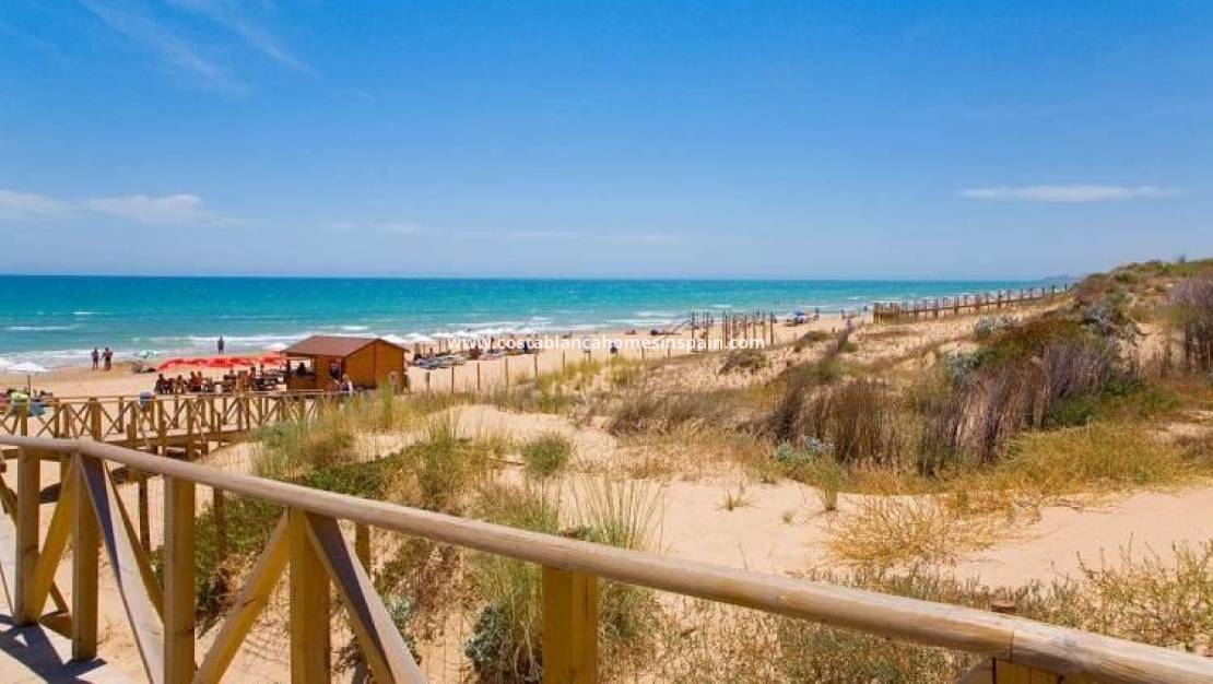 Nouvelle construction -  - Benijófar - Pueblo