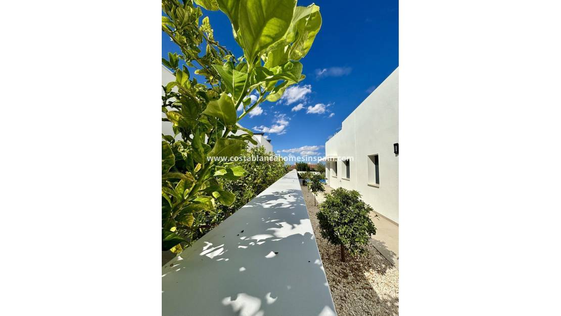 Nouvelle construction -  - Benijófar - Pueblo