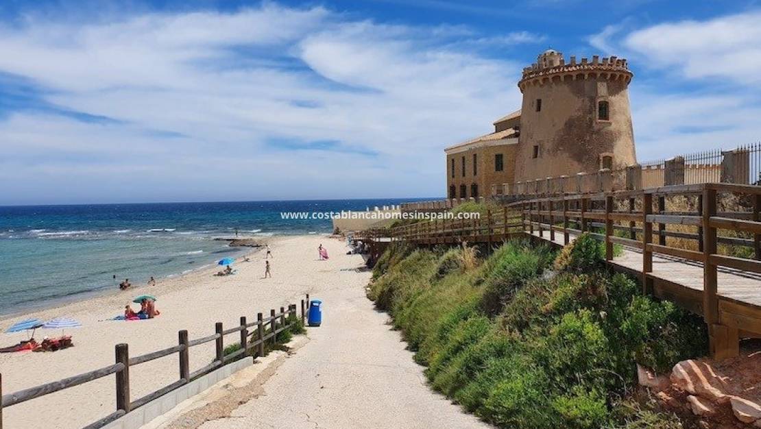 Nouvelle construction - Bungalow - Pilar de la Horadada - La Torre de la Horadada