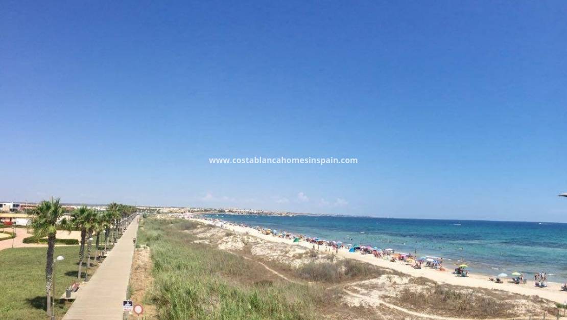 Nouvelle construction - Bungalow - Pilar de la Horadada - La Torre de la Horadada