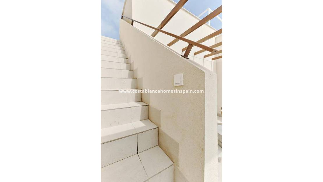 Nouvelle construction - Bungalow - Torrevieja - Villa Amalia