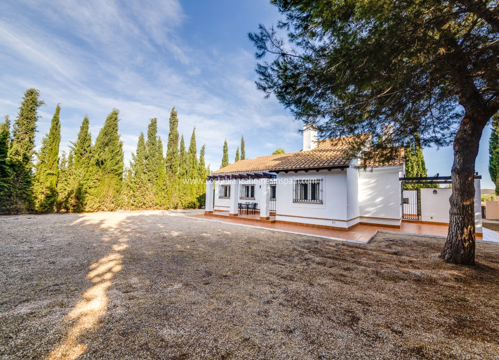 Nouvelle construction - Detached Villa - Fuente Álamo - Fuente Alamo