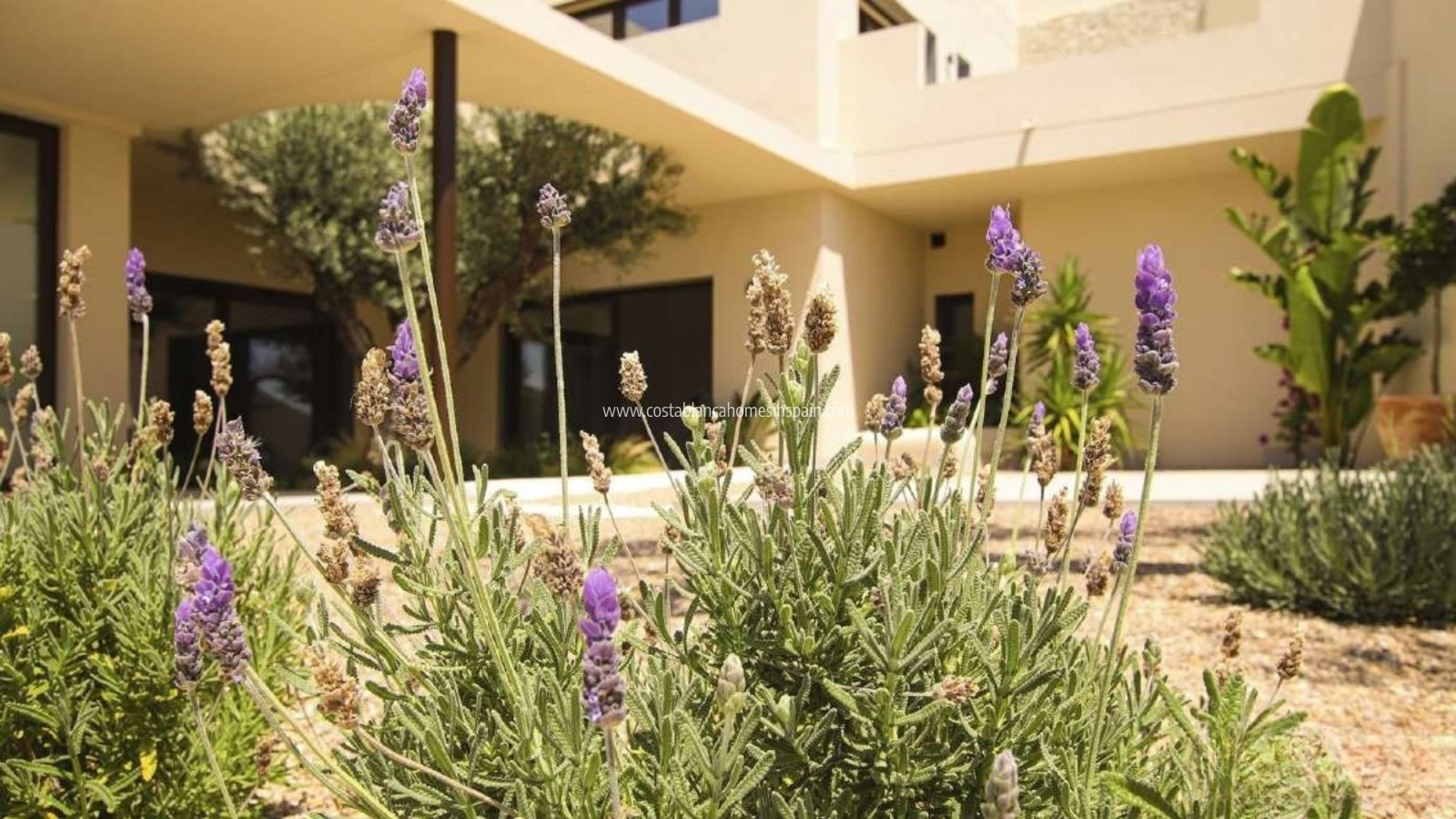 Nouvelle construction - Detached Villa - La Marina