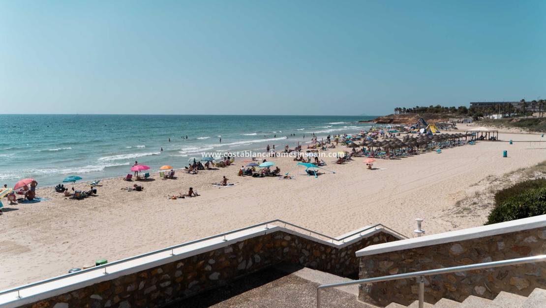 Nouvelle construction - Detached Villa - Pilar de la Horadada - RioMar