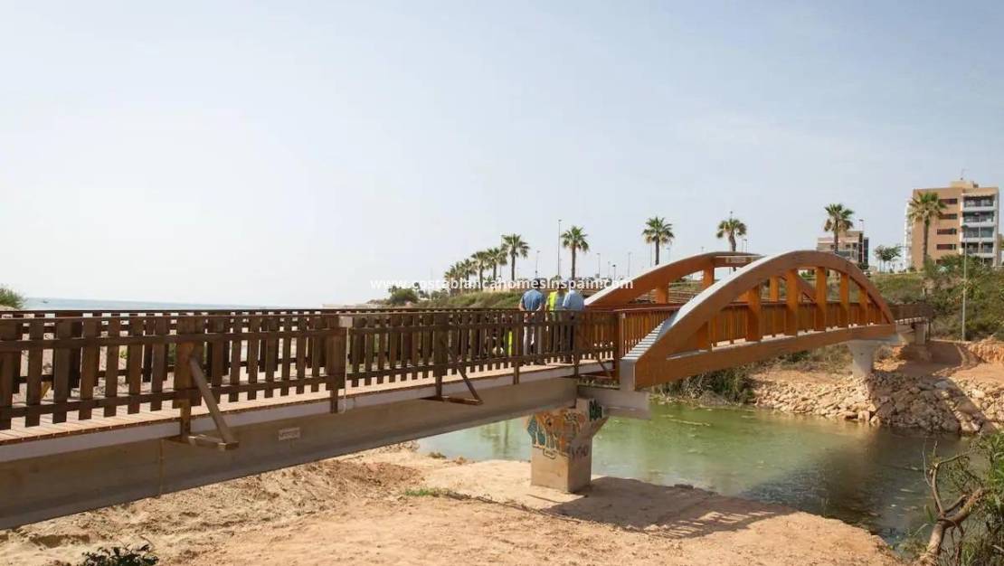 Nouvelle construction - Detached Villa - Pilar de la Horadada - RioMar