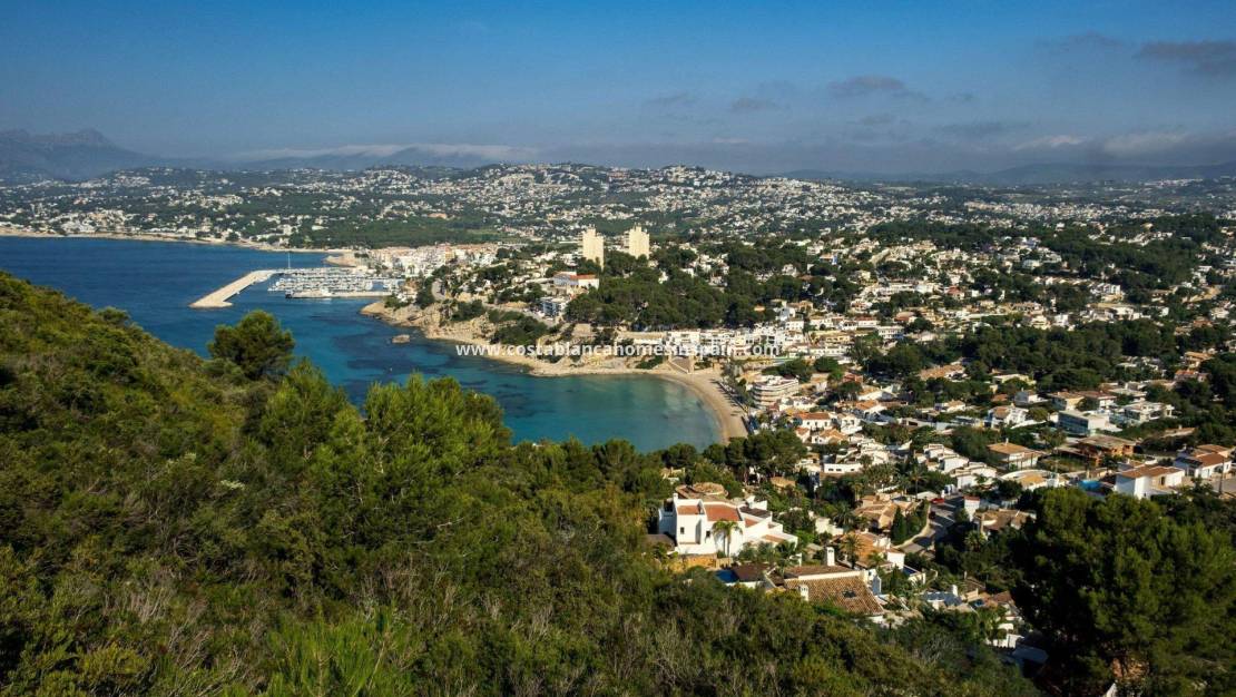 Nouvelle construction -  - Els Poblets - Partida Barranquets