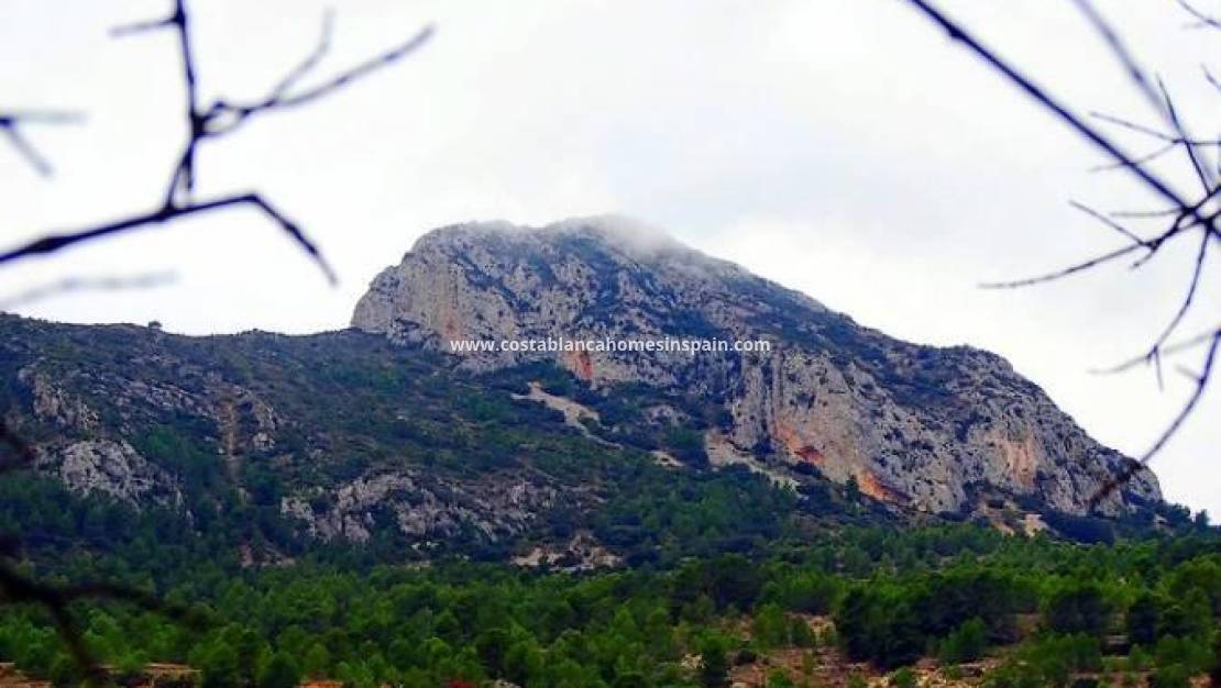 Nouvelle construction -  - La Romana - Batistes