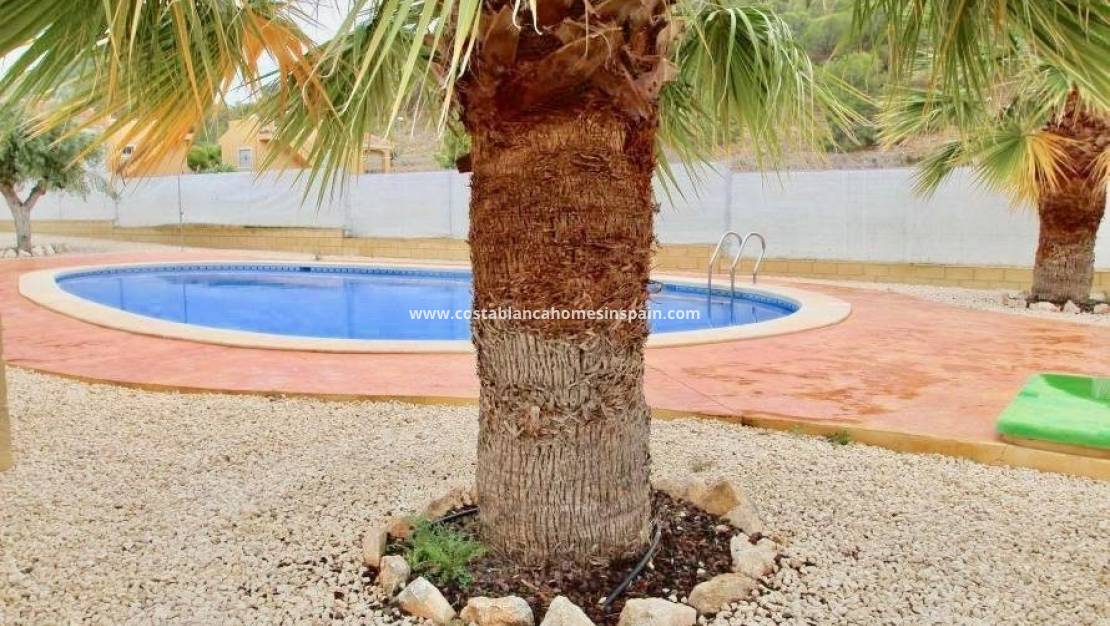 Nouvelle construction -  - La Romana - Villas de la Romana