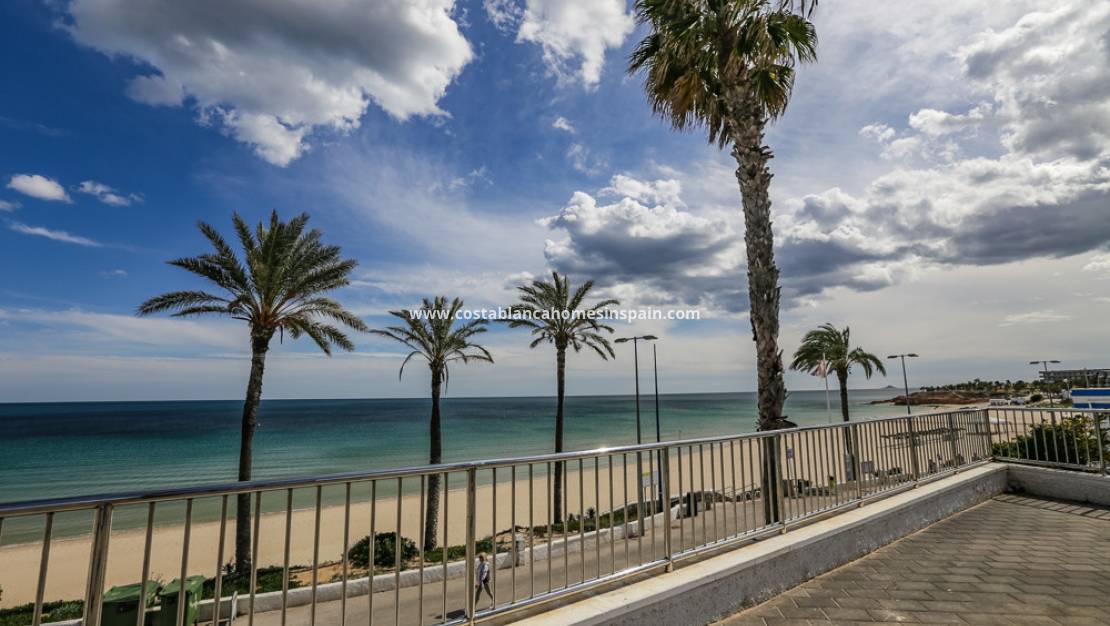 Nouvelle construction -  - La Zenia