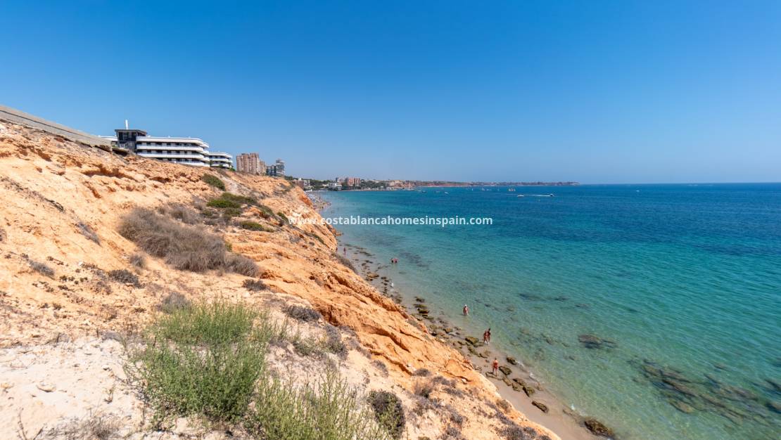 Nouvelle construction -  - La Zenia
