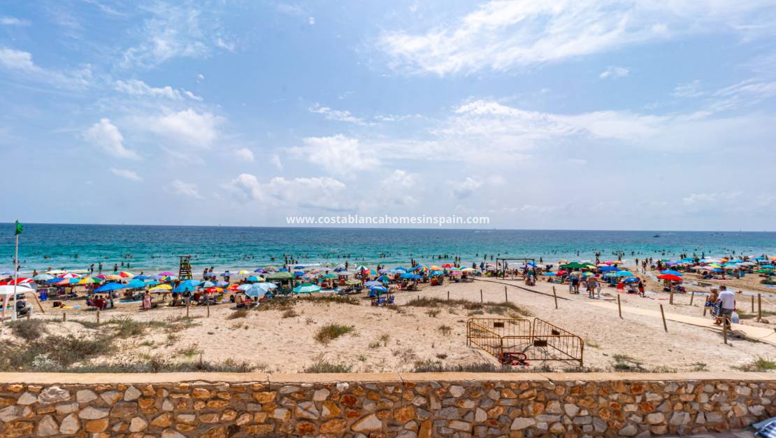 Nouvelle construction -  - La Zenia