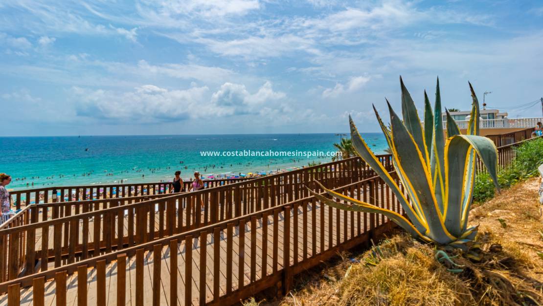 Nouvelle construction -  - La Zenia