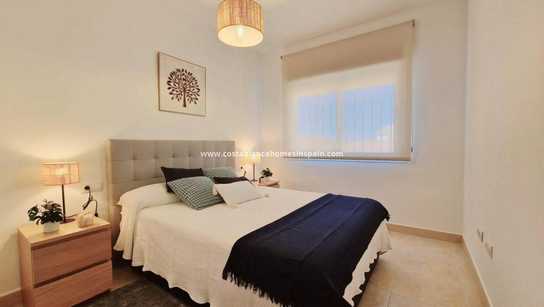 Nouvelle construction -  - Lorca - Purias