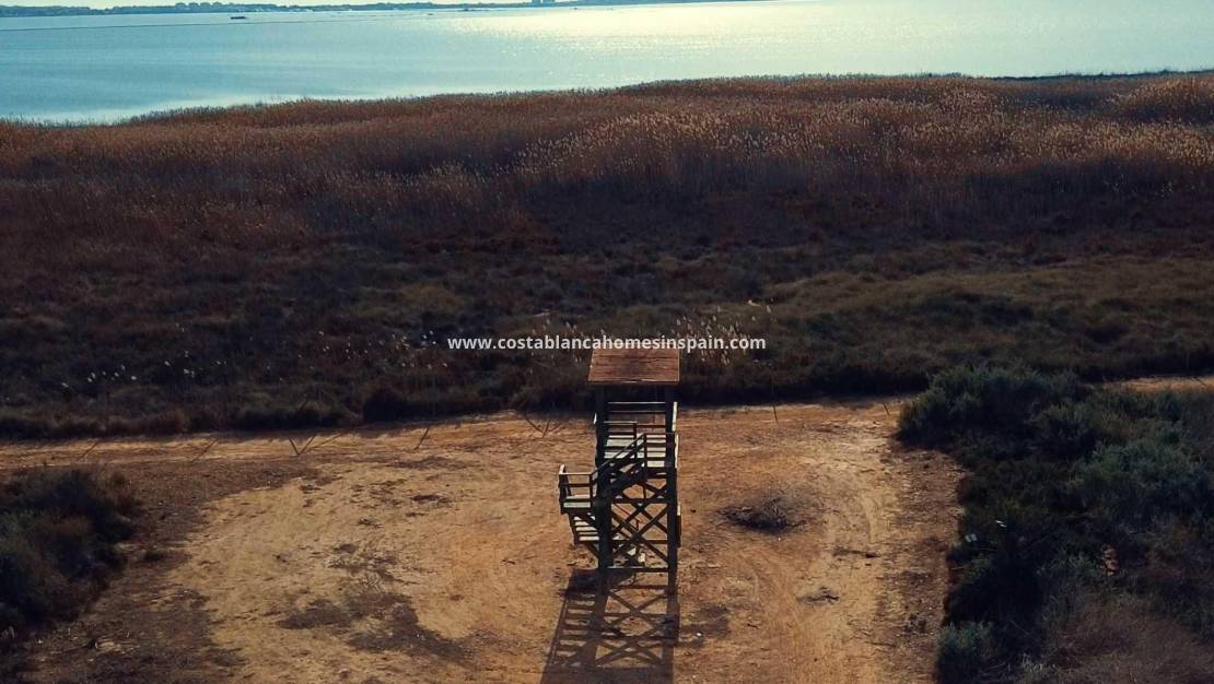 Nouvelle construction -  - Los Montesinos - La herrada