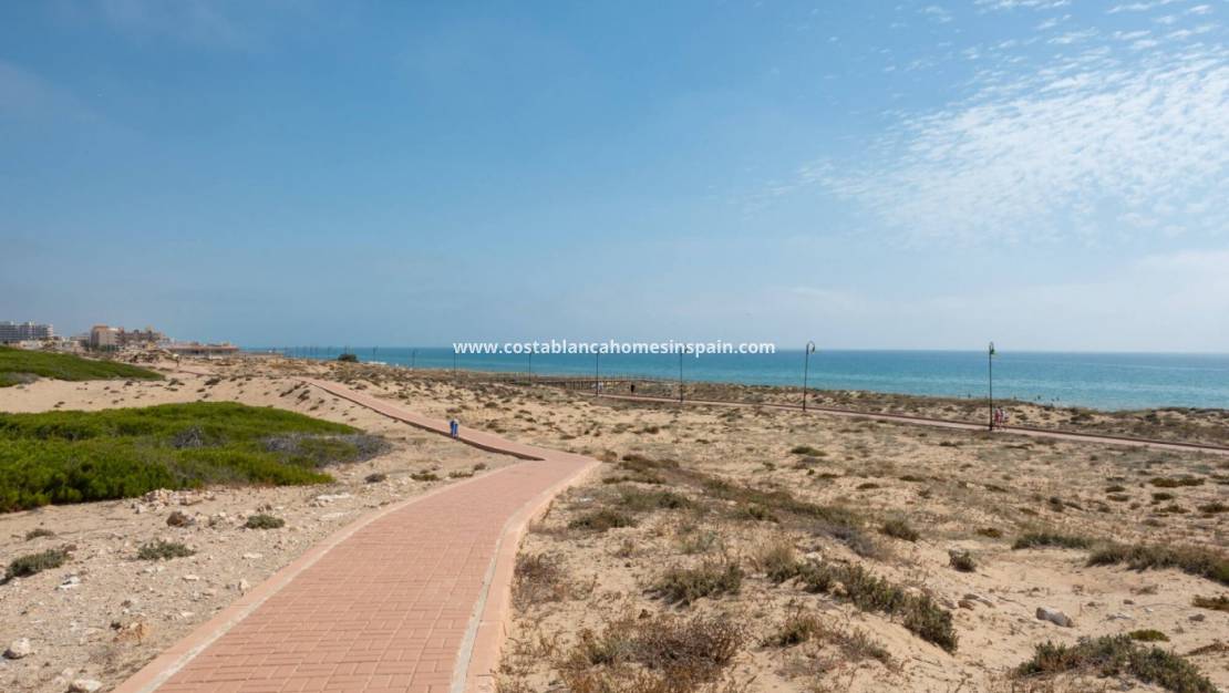 Nouvelle construction - Other - Torrevieja - La Mata