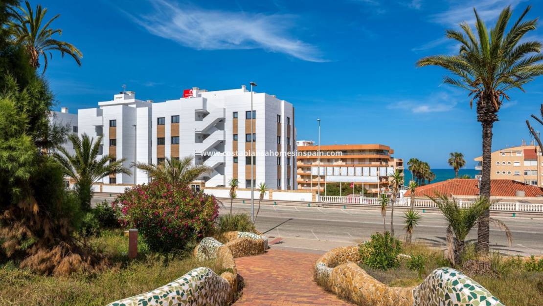Nouvelle construction - Penthouse - Guardamar del Segura - Playa de la Roqueta