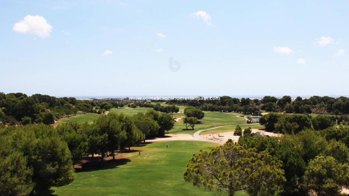 Nouvelle construction - Penthouse - Pilar de la Horadada - Lo Romero Golf