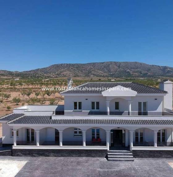  - Nouvelle construction - Pinoso - Camino Del Prado