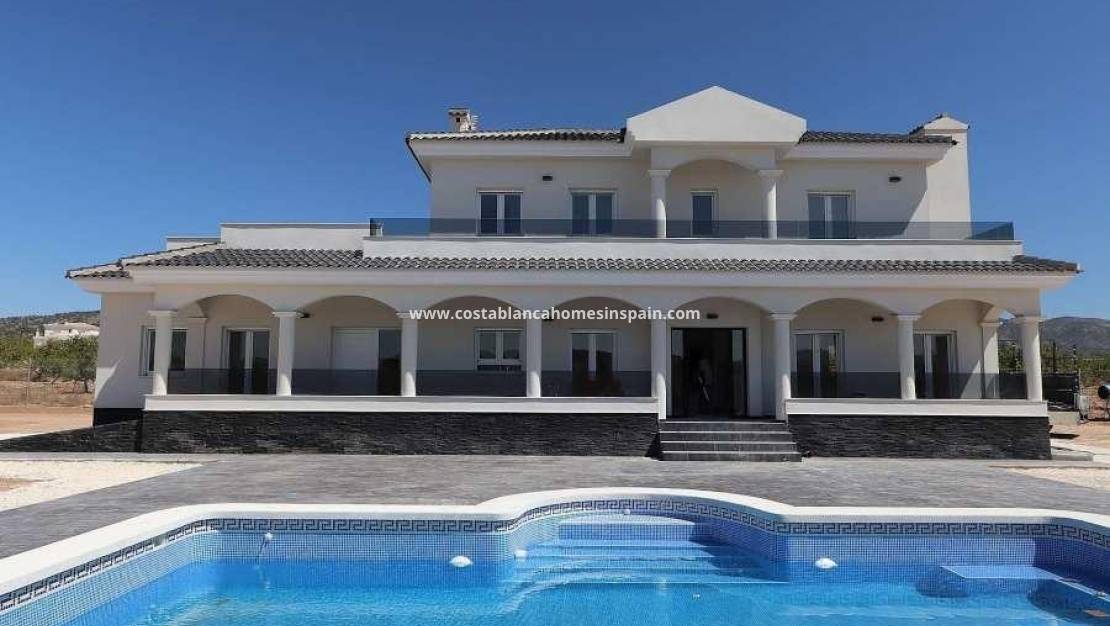 Nouvelle construction -  - Pinoso - Camino Del Prado