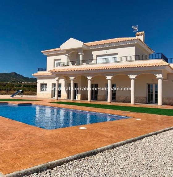  - Nouvelle construction - Pinoso - Camino Del Prado