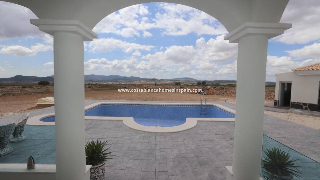 Nouvelle construction -  - Pinoso - Camino Del Prado