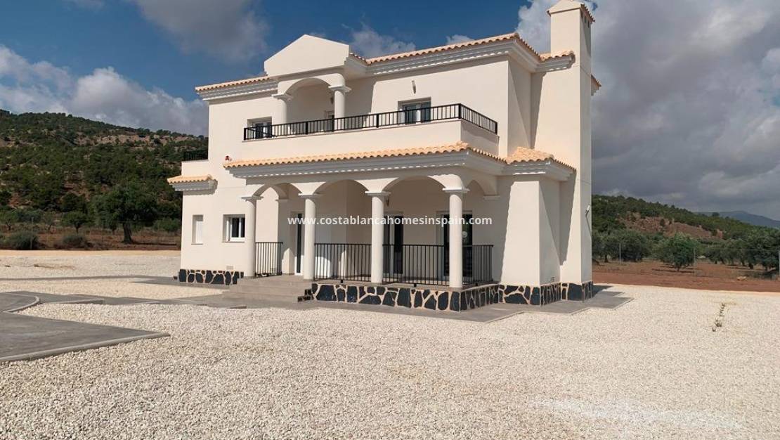 Nouvelle construction -  - Pinoso - Camino Del Prado