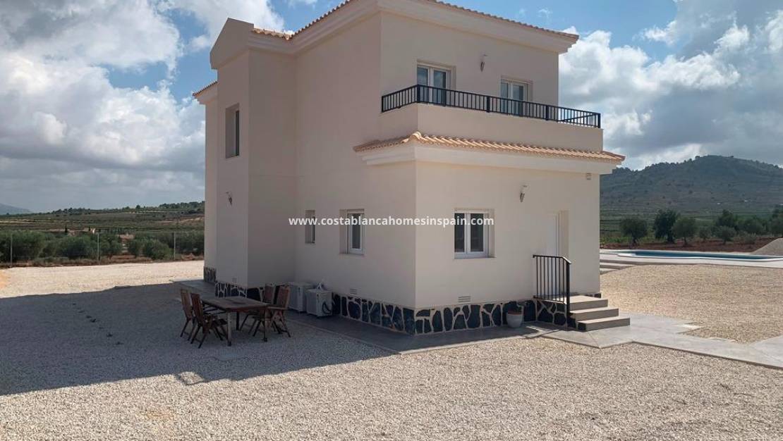 Nouvelle construction -  - Pinoso - Camino Del Prado