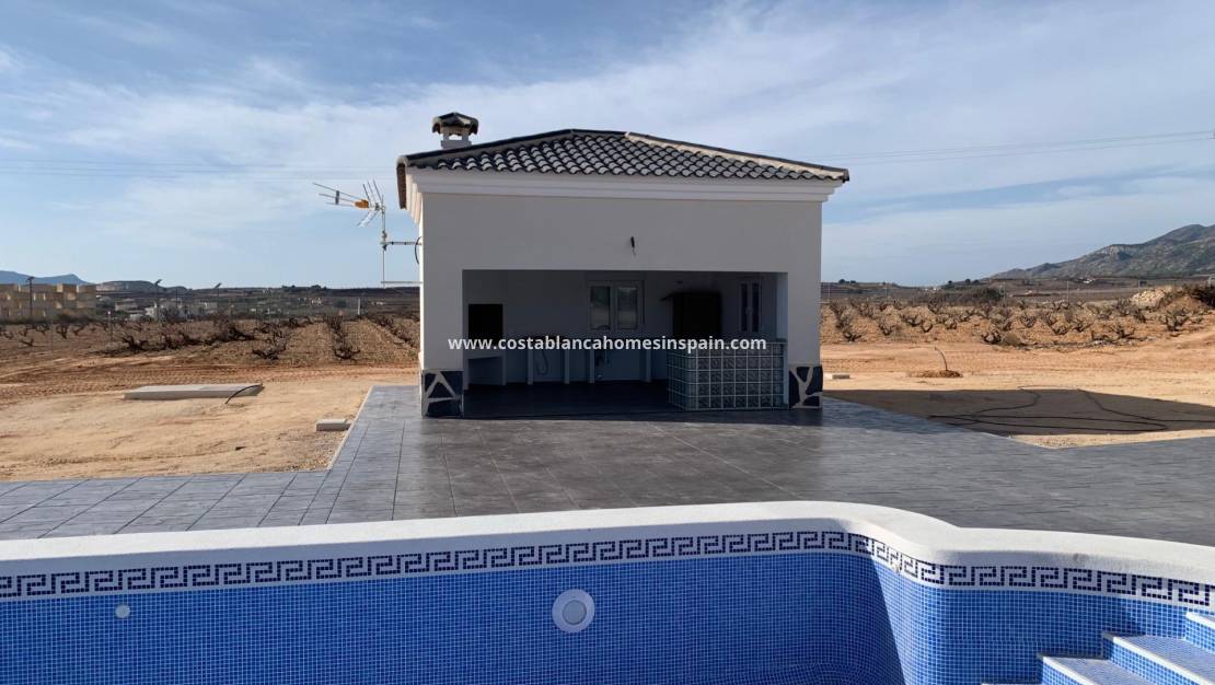 Nouvelle construction -  - Pinoso - Camino Del Prado