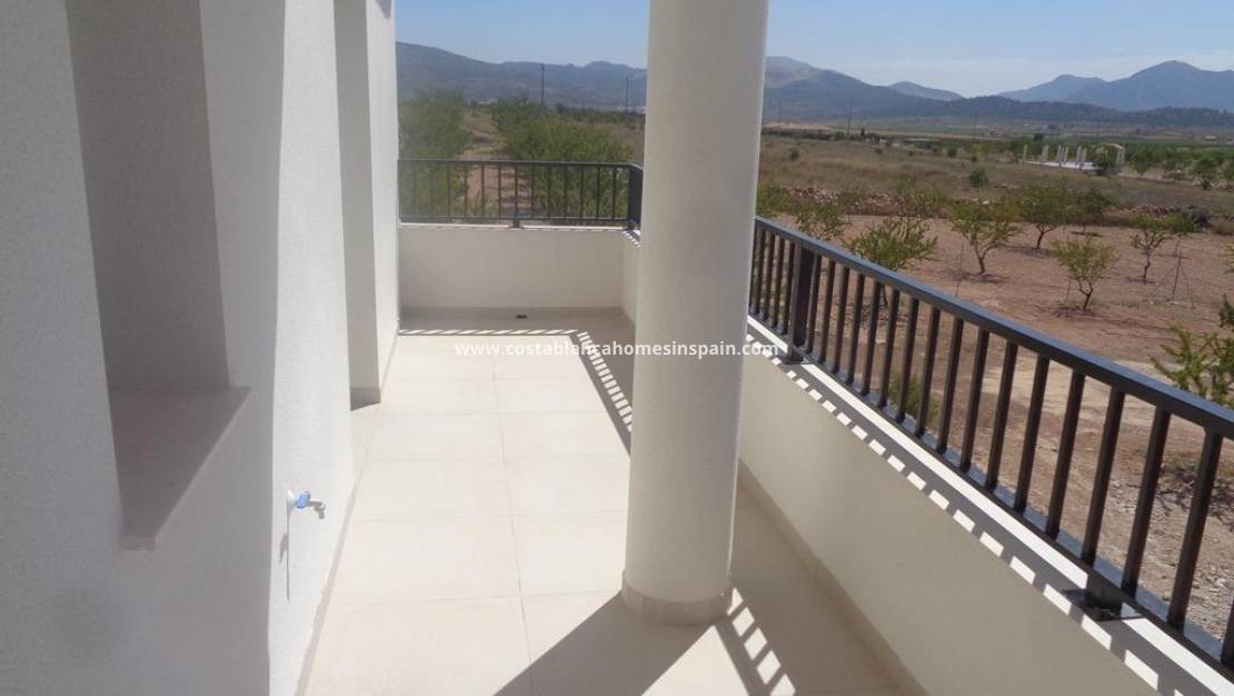 Nouvelle construction -  - Pinoso - Camino Del Prado