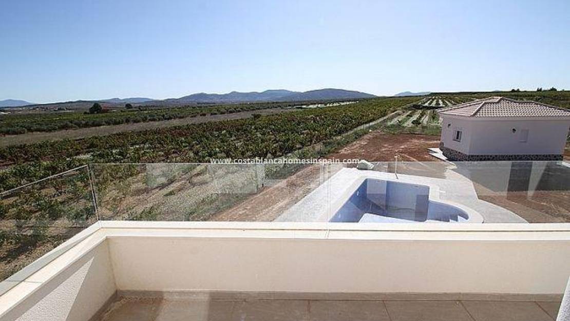 Nouvelle construction -  - Pinoso - Camino Del Prado