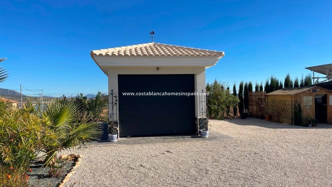 Nouvelle construction -  - Pinoso - Camino Del Prado