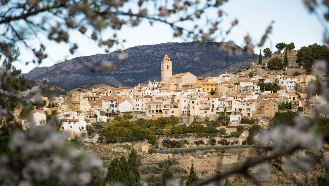 Nouvelle construction -  - Polop - Polop Hills