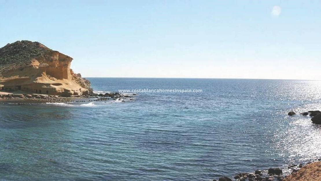 Nouvelle construction -  - San Juan de los Terreros