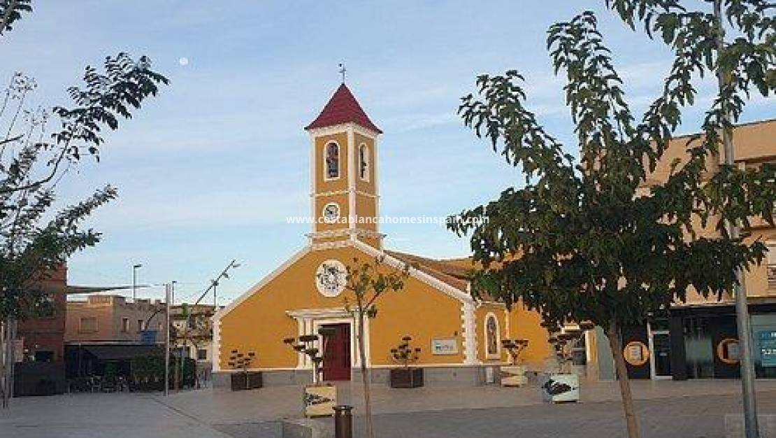 Nouvelle construction -  - Torre Pacheco - Roldán